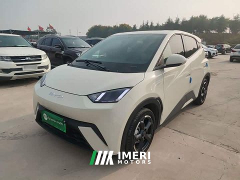 2024 BYD Seagull 2023 Freedom Edition - ავტომობილი ჩინეთიდან