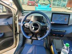 BYD Seagull 2023 Freedom Edition - ფოტო 11