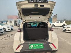 BYD Seagull 2023 Freedom Edition - ფოტო 19