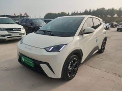 BYD Seagull 2023 Freedom Edition - ფოტო 2