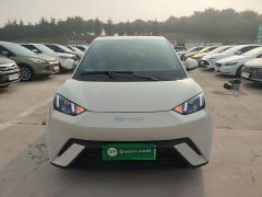 BYD Seagull 2023 Freedom Edition - ფოტო 3