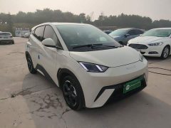 BYD Seagull 2023 Freedom Edition - ფოტო 4