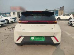 BYD Seagull 2023 Freedom Edition - ფოტო 6