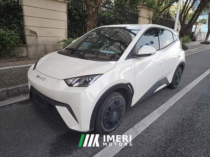 BYD Seagull Vitality Edition