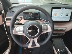 BYD Seagull 2023 Vitality Edition - ფოტო 11