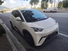BYD Seagull 2023 Vitality Edition - ფოტო 4
