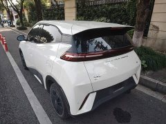 BYD Seagull 2023 Vitality Edition - ფოტო 5