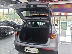 Geely Star Wish 310km Dream Edition - ფოტო 19