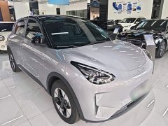 Geely Star Wish 310km Dream Edition - ფოტო 4