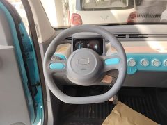 FAW Besturn Xiaoma 170km Vitality Edition - ფოტო 11