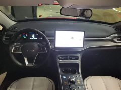 BYD Destroyer 05 Glory Edition DM-i 55KM Luxury - ფოტო 10