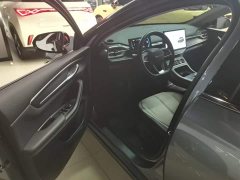 BYD Destroyer 05 Glory Edition DM-i 55KM Luxury - ფოტო 16