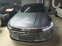 BYD Destroyer 05 Glory Edition DM-i 55KM Luxury - ფოტო 3