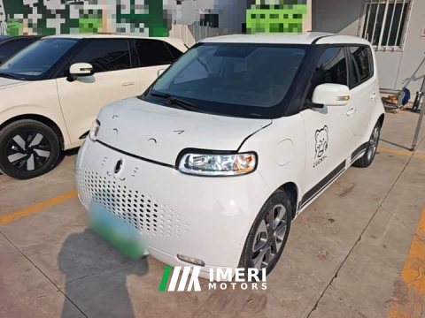 2021 ORA White Cat 2020 305km Luxury - ავტომობილი ჩინეთიდან