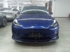 Tesla Model Y Rear-Wheel Drive - ფოტო 3