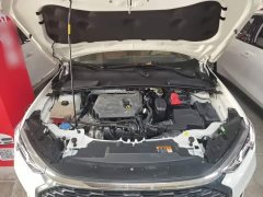 Ford Forrest 1.5L Automatic Glory Edition - ფოტო 20