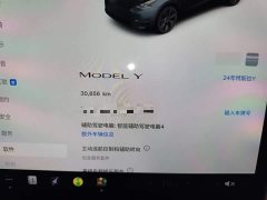 Tesla Model Y Rear-Wheel Drive - ფოტო 12