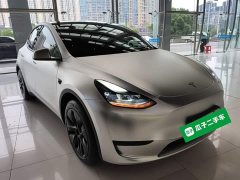 Tesla Model Y Rear-Wheel Drive - ფოტო 4