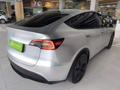 Tesla Model Y Rear-Wheel Drive - ფოტო 7