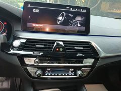 BMW 5 Series Facelift 530Li Luxury M Sport Package - ფოტო 13