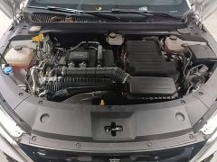 BYD Qin L 2024 DM-i 80KM Elite - ფოტო 20