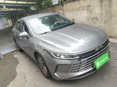BYD Destroyer 05 Glory Edition DM-i 55KM Luxury - ფოტო 4