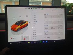 Tesla Model Y Rear-Wheel Drive - ფოტო 12