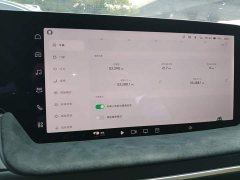 Xpeng P7 P7i 550 Pro - ფოტო 12