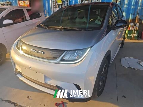2023 BYD Dolphin 405km Fashion Edition - ავტომობილი ჩინეთიდან
