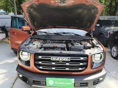 Great Wall Dachshund 2021 1.5T DCT Two-Wheel Drive Border Collie Edition - ფოტო 16