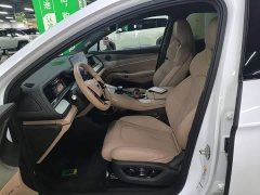 Denza BYD Denza N7 2023 Extended Range Version - ფოტო 15