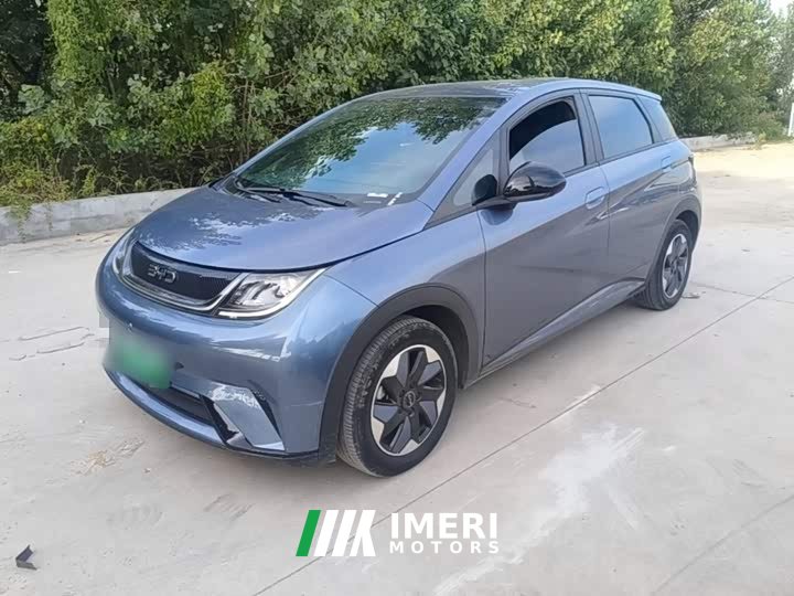 BYD Dolphin 405km Freedom Edition