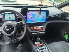 BYD Dolphin 405km Freedom Edition - ფოტო 10