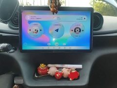 BYD Dolphin 405km Freedom Edition - ფოტო 13