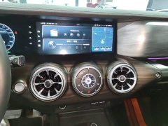 Tank 300 Off-Road Edition 2.0T Conqueror - ფოტო 13