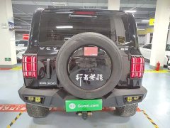 Tank 300 Off-Road Edition 2.0T Conqueror - ფოტო 6