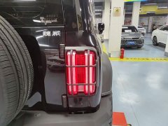 Tank 300 Off-Road Edition 2.0T Conqueror - ფოტო 8