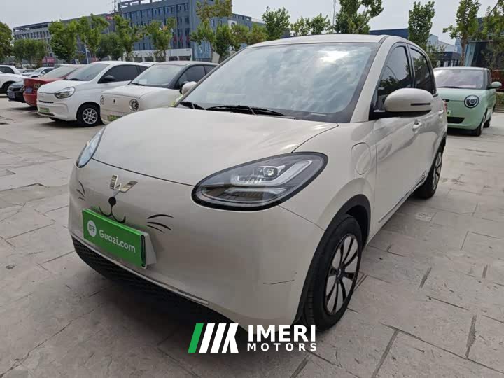 Wuling Binguo 333km Joy Edition