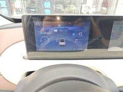 Wuling Binguo 333km Joy Edition - ფოტო 12