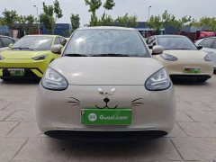 Wuling Binguo 333km Joy Edition - ფოტო 3
