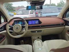 ORA Good Cat 401km Standard Range Luxury LFP - ფოტო 10
