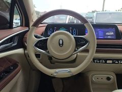ORA Good Cat 401km Standard Range Luxury LFP - ფოტო 11