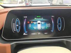 ORA Good Cat 401km Standard Range Luxury LFP - ფოტო 12