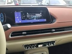 ORA Good Cat 401km Standard Range Luxury LFP - ფოტო 13