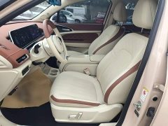 ORA Good Cat 401km Standard Range Luxury LFP - ფოტო 15