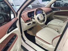 ORA Good Cat 401km Standard Range Luxury LFP - ფოტო 16