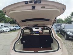 ORA Good Cat 401km Standard Range Luxury LFP - ფოტო 19