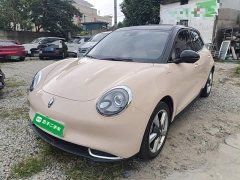 ORA Good Cat 401km Standard Range Luxury LFP - ფოტო 2