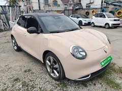 ORA Good Cat 401km Standard Range Luxury LFP - ფოტო 4