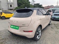 ORA Good Cat 401km Standard Range Luxury LFP - ფოტო 7